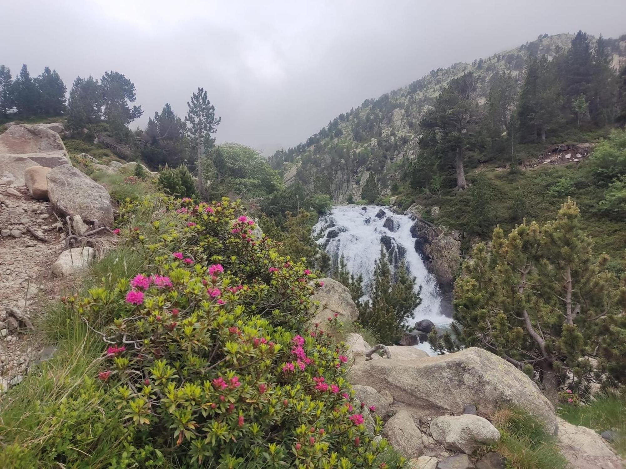 Apartamento El Refugio De Sara Benasque Exteriör bild