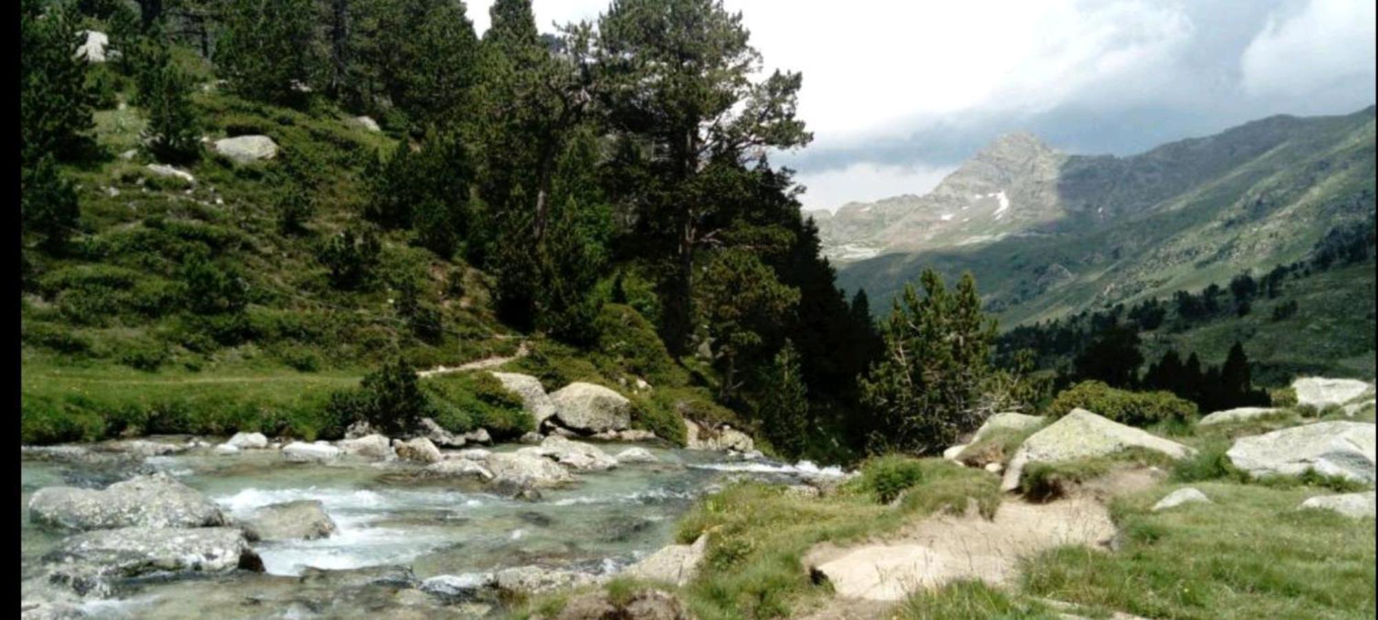 Apartamento El Refugio De Sara Benasque Exteriör bild