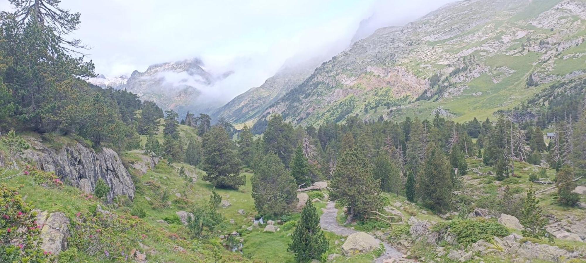 Apartamento El Refugio De Sara Benasque Exteriör bild
