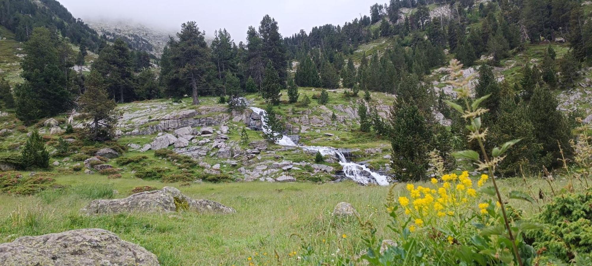 Apartamento El Refugio De Sara Benasque Exteriör bild